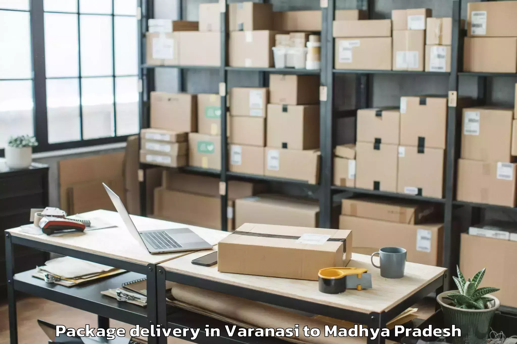 Quality Varanasi to Narwar Package Delivery